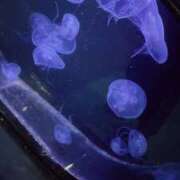 ヒメ日記 2025/12/24 19:22 投稿 きい SOAPLAND LOVE FACTORY