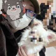 ヒメ日記 2025/12/20 11:00 投稿 三宅ゆうか セカンドパートナー