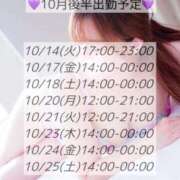 ヒメ日記 2025/10/12 18:03 投稿 うらら 柏人妻花壇