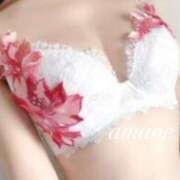 ヒメ日記 2025/10/05 14:34 投稿 光月 あまね 汝々艶 梅田店