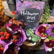 ヒメ日記 2025/10/22 09:14 投稿 光月 あまね 汝々艶 梅田店