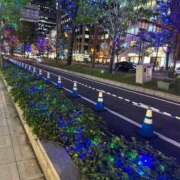 ヒメ日記 2025/10/27 17:49 投稿 光月 あまね 汝々艶 梅田店