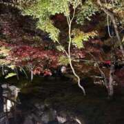 ヒメ日記 2025/11/12 18:11 投稿 光月 あまね 汝々艶 梅田店