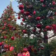 ヒメ日記 2025/12/01 17:30 投稿 光月 あまね 汝々艶 梅田店