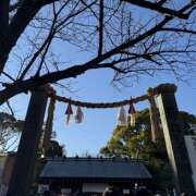 ヒメ日記 2026/01/13 13:49 投稿 りこ 新橋フェアリーズ