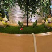 ヒメ日記 2025/09/25 20:33 投稿 おとね 千葉人妻花壇