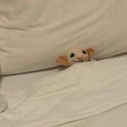 おとね よかったよ！！ 千葉人妻花壇