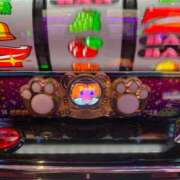 ヒメ日記 2025/10/06 21:57 投稿 ハンナ バニーコレクション新潟店