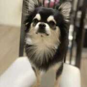 ヒメ日記 2026/01/27 21:14 投稿 ハンナ バニーコレクション新潟店