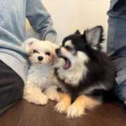 ヒメ日記 2026/01/30 20:15 投稿 ハンナ バニーコレクション新潟店