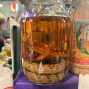 ヒメ日記 2026/02/22 20:50 投稿 ハンナ バニーコレクション新潟店