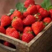 ヒメ日記 2026/02/24 12:06 投稿 ハンナ バニーコレクション新潟店