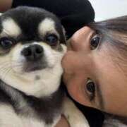 ヒメ日記 2026/02/24 21:38 投稿 ハンナ バニーコレクション新潟店