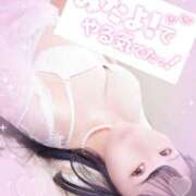 トウカ 🍓出勤🍓 ファーストレディー