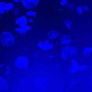 ヒメ日記 2025/10/23 14:17 投稿 ヒナミ♡清楚な見た目でド変態♡ ドMなバニーちゃん 名古屋・池下店