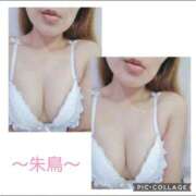 ヒメ日記 2026/04/14 09:51 投稿 朱鳥(あすか) Diamond Hearts