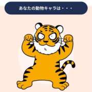 ヒメ日記 2025/11/13 13:03 投稿 唯月　彩華 雫(しずく)