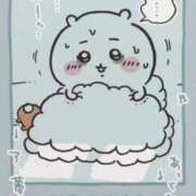 ヒメ日記 2025/11/14 11:03 投稿 唯月　彩華 雫(しずく)