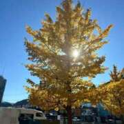 るりの [お題]from:爪かんじゃうさん 成田人妻花壇