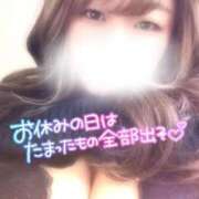 ヒメ日記 2026/04/13 14:09 投稿 まりえ♡全身ご奉仕お姉さま♡ ぴゅあぱい熊本♡ぽちゃかわ巨乳専門♡誠実すぎる風俗♡返金保証店♡