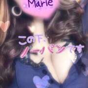 ヒメ日記 2026/04/27 12:51 投稿 まりえ♡全身ご奉仕お姉さま♡ ぴゅあぱい熊本♡ぽちゃかわ巨乳専門♡誠実すぎる風俗♡返金保証店♡