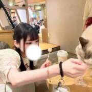 ヒメ日記 2025/11/14 18:48 投稿 愛須　のの OL精薬