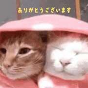 安田りさ 出勤💓 月の真珠-新宿-