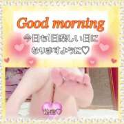 ヒメ日記 2026/03/10 06:45 投稿 【SP】ちふゆ ミセスサマンサ