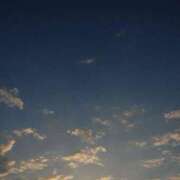 あお 本日 川崎・東横人妻城