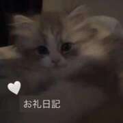 ヒメ日記 2025/11/19 01:20 投稿 空条 れお アリス女学院 日本橋校