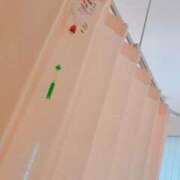 ヒメ日記 2025/11/01 11:22 投稿 ここ ベイビーモコ