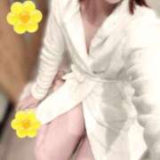 ヒメ日記 2026/03/14 11:19 投稿 ここ ベイビーモコ