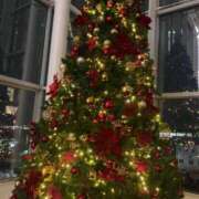 ヒメ日記 2025/11/06 20:42 投稿 ゆあ Number Five 品川（シンデレラグループ）