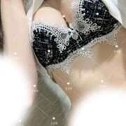 ヒメ日記 2025/11/24 12:04 投稿 ゆあ Number Five 品川（シンデレラグループ）