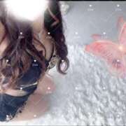 ヒメ日記 2026/03/07 09:05 投稿 ゆあ Number Five 品川（シンデレラグループ）