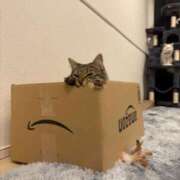 ヒメ日記 2025/10/10 14:03 投稿 りた ワンダーホール24in幕張