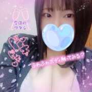 ヒメ日記 2025/10/31 16:14 投稿 ありす S-GALAXY