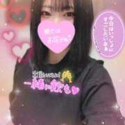 ヒメ日記 2025/12/01 18:30 投稿 ありす S-GALAXY