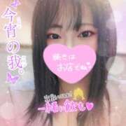 ヒメ日記 2025/12/15 11:04 投稿 ありす S-GALAXY