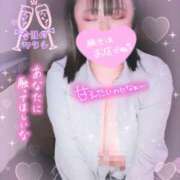 ヒメ日記 2025/12/19 14:18 投稿 ありす S-GALAXY