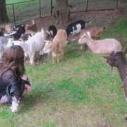 ヒメ日記 2025/11/05 02:09 投稿 あいり 新宿プチドール