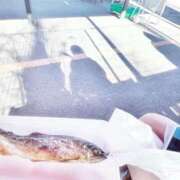 ヒメ日記 2025/11/27 11:50 投稿 あいり 新宿プチドール