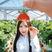 ヒメ日記 2026/03/31 13:20 投稿 ゆら 浜松ハンパじゃない学園