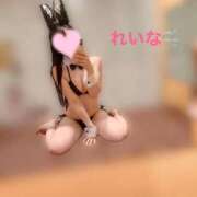 れいな 出勤するよ🎶 綺麗なお姉様専門　新横浜リング4C（アンジェリークグループ）