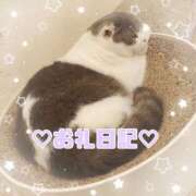 ヒメ日記 2025/09/27 12:39 投稿 あまね 成田人妻花壇