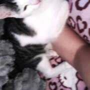 ヒメ日記 2025/11/25 19:28 投稿 オボロ バニーコレクション新潟店