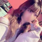 オボロ なにがすきーー？ バニーコレクション新潟店