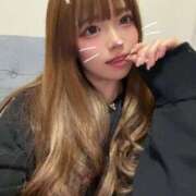 ヒメ日記 2026/02/12 08:02 投稿 オボロ バニーコレクション新潟店