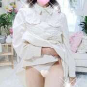 ヒメ日記 2025/10/12 07:41 投稿 岡村 ひとみ こあくまな熟女たち 京都店(KOAKUMAグループ)