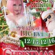 ぴこ 💖クリスマスイベント💖 奴隷コレクション梅田店